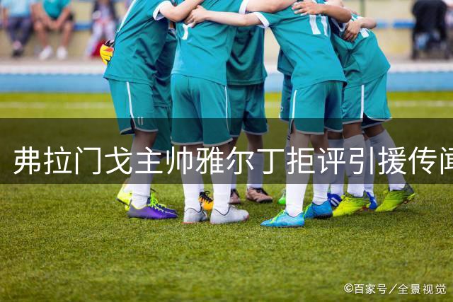 弗拉门戈主帅雅尔丁拒评引援传闻 重点表扬青训小将表现