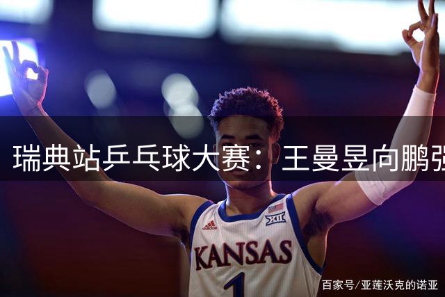 瑞典站乒乓球大赛：王曼昱向鹏强势挺进32强